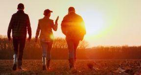 Exploitants agricoles : option pour l’assiette annuelle des cotisations sociales