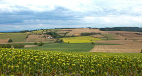 Nouveau programme d’aide aux investissements FranceAgriMer : r&eacute;duction des produits phytosanitaires