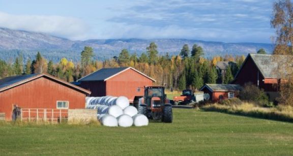 Baux ruraux : légère hausse de l’indice national des fermages
