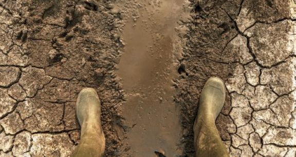 Des mesures de soutien pour les agriculteurs victimes de la sécheresse