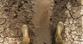 Des mesures de soutien pour les agriculteurs victimes de la sécheresse