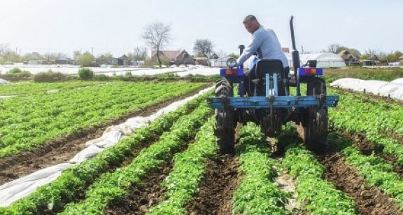 Comment régler vos dettes de cotisations auprès de la MSA ?