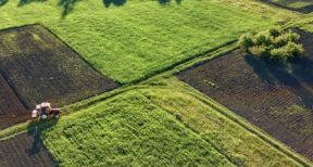 Gare à la cession du bail rural entre sociétés d’un même groupe !
