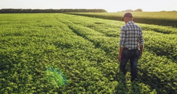 Les décisions de rétrocession des Safer doivent être correctement motivées !