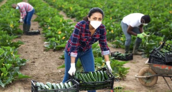 Une « aide prévention Covid » pour le secteur agricole