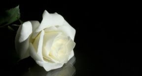 Des précisions sur le congé de deuil des salariés