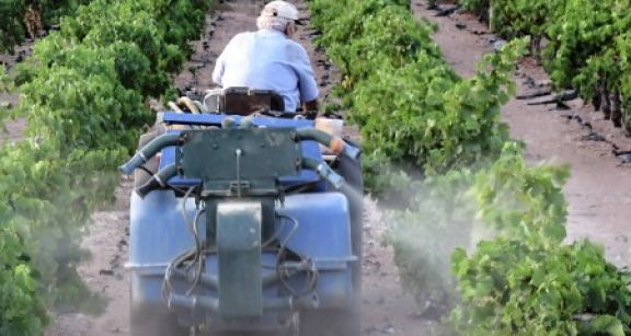 Glyphosate : les interdictions et les restrictions d’usage précisées