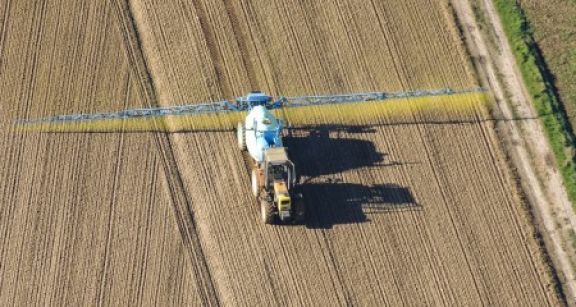 Plan de relance : les mesures prévues pour l’agriculture