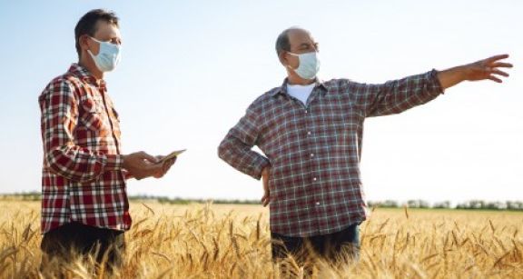 Exploitants agricoles : l’allocation de remplacement est encore de mise !