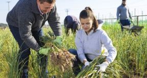 Exploitants agricoles : montant de la cotisation Atexa pour 2021