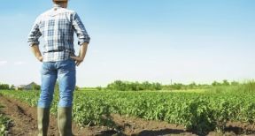 Bail rural : gare au contenu d’un congé pour reprise !