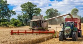 Assurance récolte : les taux de subventions sont inchangés pour 2021