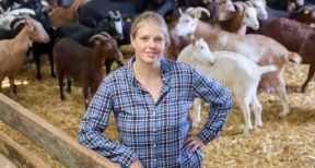 Continuation du bail rural par un seul des colocataires : gare au formalisme !