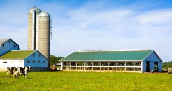 Exonération des plus-values des petites exploitations agricoles : à quelles conditions ?