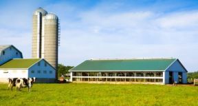 Exonération des plus-values des petites exploitations agricoles : à quelles conditions ?