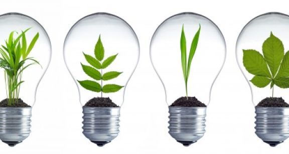 Innover à la campagne : 10 entrepreneurs récompensés