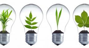 Innover à la campagne : 10 entrepreneurs récompensés