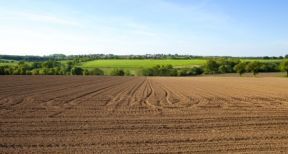 Le marché des terres agricoles en 2020