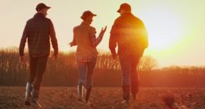 Gare au retrait anticipé d’une coopérative agricole !