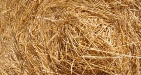 Baux ruraux : hausse du montant des fermages