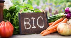 Alimentation bio : un marché de près de 13 milliards d’euros