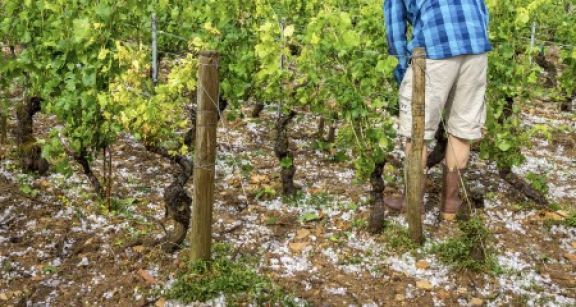 De nouvelles mesures fiscales pour les agriculteurs