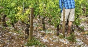 De nouvelles mesures fiscales pour les agriculteurs