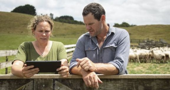 Statut du conjoint du chef d’exploitation agricole : attestation sur l’honneur requise !