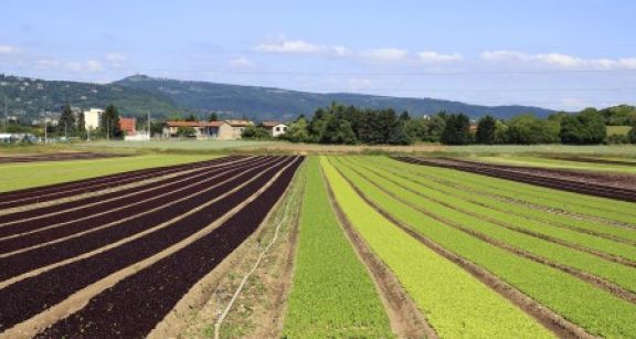 Bail rural : gare au départ de l’un des colocataires !