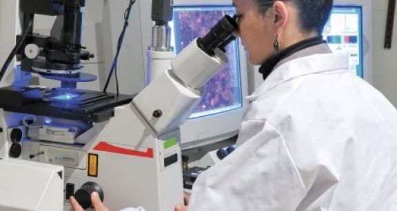 Remboursement tardif du crédit d’impôt recherche et versement d’intérêts moratoires