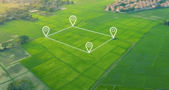 Mise à disposition de terres agricoles à la Safer : avec l’accord du nu-propriétaire !