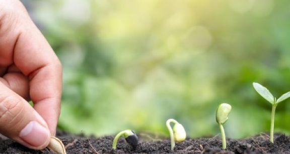 De nouvelles mesures pour accompagner les start-up de la transition écologique