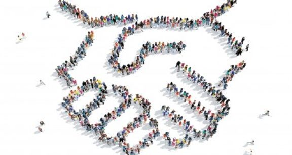 Un portrait des partenariats associatifs