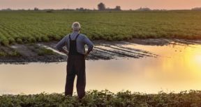 Agriculteurs victimes des inondations : une prise en charge de vos cotisations