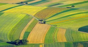 Quel prix pour les terres agricoles en 2020 ?