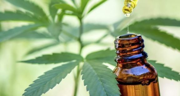 L’expérimentation de cannabis médical franchit une première étape