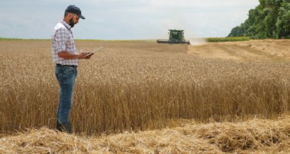 Renouvellement du bail rural : gare au respect du contrôle des structures !