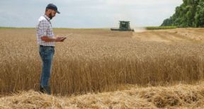 Renouvellement du bail rural : gare au respect du contrôle des structures !