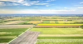 100 000 exploitations agricoles de moins en 10 ans !