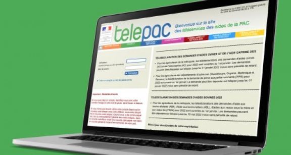 Éleveurs : vous pouvez demander les aides animales 2022 !