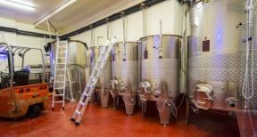 Viticulteurs : aide aux investissements vitivinicoles 2022