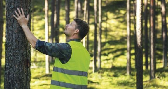 Investir dans les bois et forêts avec les GFI