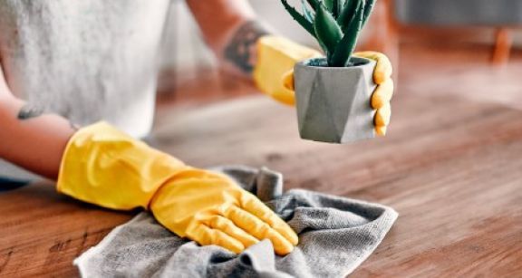 Services à la personne : versement en temps réel du crédit d’impôt emploi à domicile