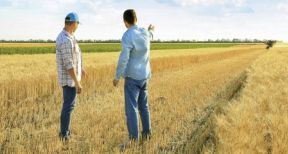 La prise de contrôle des sociétés agricoles soumise à autorisation !