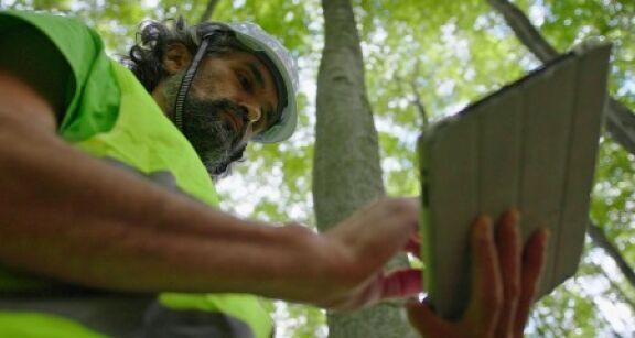 Experts forestiers : accès aux données cadastrales