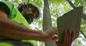 Experts forestiers : accès aux données cadastrales