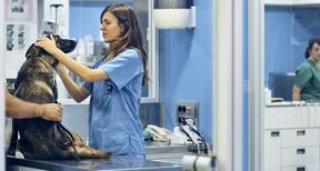 Forfait-jours : où s’arrête la liberté d’organisation du salarié ?