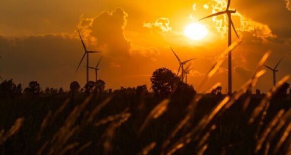 Épargne responsable : vers la création d’un nouveau label ?