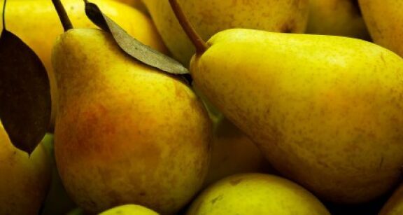 Cultures végétales : montant de certaines aides couplées pour la campagne 2021