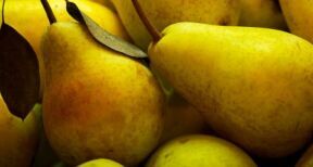 Cultures végétales : montant de certaines aides couplées pour la campagne 2021